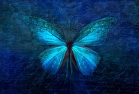 Blue Chastain