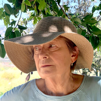 Diane Calkins