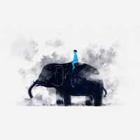 David Schwartzkopf profile picture