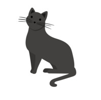 Izi Miller profile picture