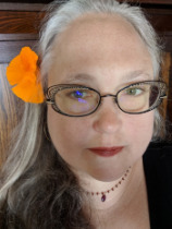 Shannon  Phillips profile picture