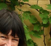 Julia   Sutton profile picture