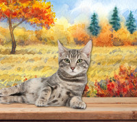 Miranda Brickett profile picture