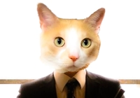 Felix R. Savage profile picture