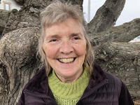 Sandi Peters profile picture