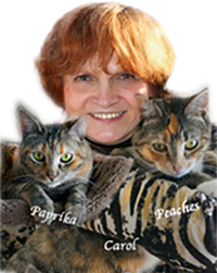 Carol Lowbeer