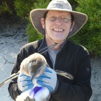 Charles Bergman profile picture