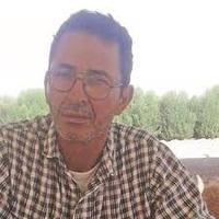 الحسن بنمونة