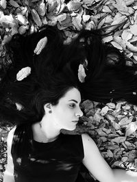 Sonia   Ferreira profile picture
