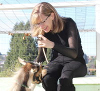 Patti Niemi profile picture