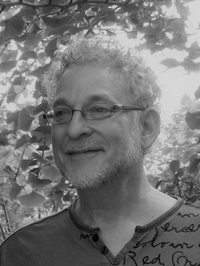 Stefan Freedman profile picture