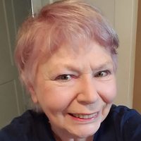 Mari  Stein