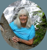 Diana K. Kanoy profile picture