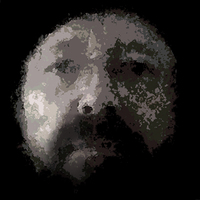 Jim  Cheshire