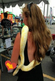 Arianna Fraser profile picture