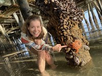 Nell Cross Beckerman profile picture