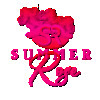 Summer   Rose