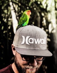Nick Thacker profile picture