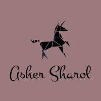 Asher Sharol profile picture