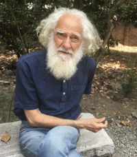 Arvind Krishna Mehrotra profile picture