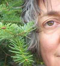 Laure Paquette