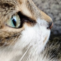 W.H. Clark profile picture