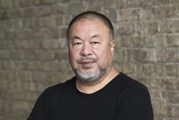 Weiwei Ai profile picture