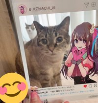 Mengo Yokoyari profile picture
