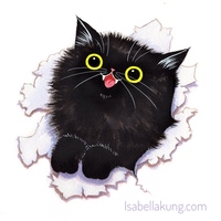 Isabella Kung profile picture