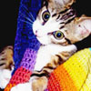 R.A.  Armstrong profile picture