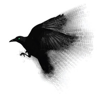 Crystal Raven profile picture
