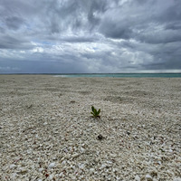 مسلم عبد الرحمن التميمي