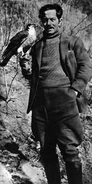 Sten Bergman profile picture