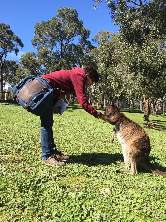 Quote by elmo “If life is fair why does roses have thorns”