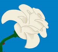Elise Stoltenbreck profile picture