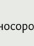 Носорог