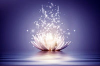 Smitha J profile picture