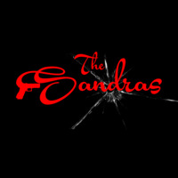 Sandra Raine profile picture