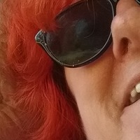 Stella Shaw profile picture
