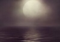 Moonlight Haunted profile picture