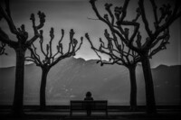 Lene MacLeod