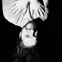 Heinrich von Wolfcastle profile picture