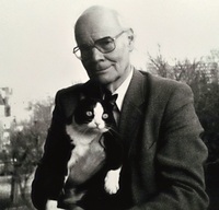 Guy Vaes profile picture
