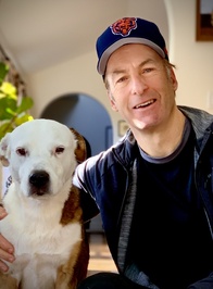 Bob   Odenkirk profile picture