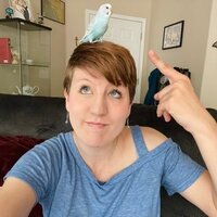 Michelle Mohrweis profile picture