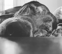 J.    Marie profile picture