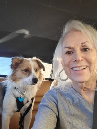 Morgan St. James profile picture