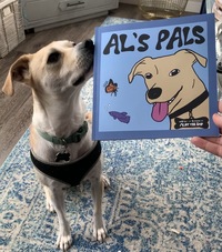 Alby The Dog