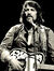 Waylon Jennings