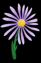 Aster Marsh